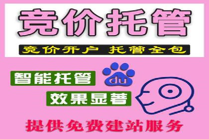 某电商平台的sem竞价推广托管经验